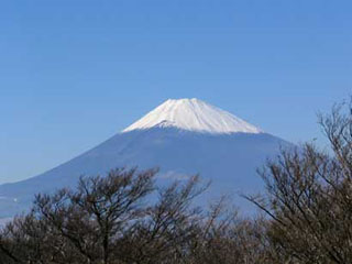 007fuji.jpg