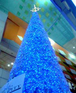20041222tree.jpg