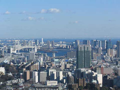 20050105.jpg