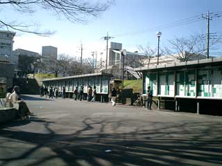 20050118-senshu1.jpg