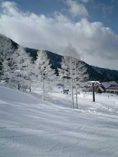 20050120snowboard-marunuma2.jpg