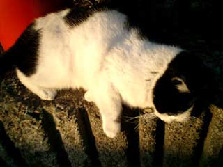 20050222-2.jpg