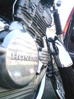 20050403.jpg