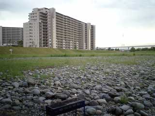 20050611BBQ.jpg