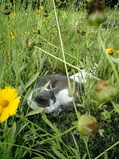 20050612.jpg