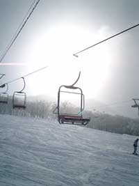 2005caprisnobo-1.jpg