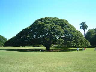 Blog-2004Hawaii_-138.jpg