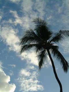 Blog-2004Hawaii_-180.jpg