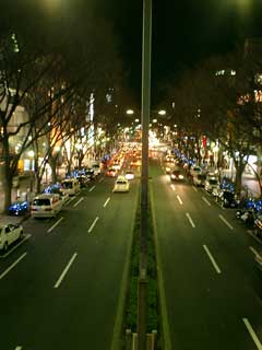 nightphoto2.jpg